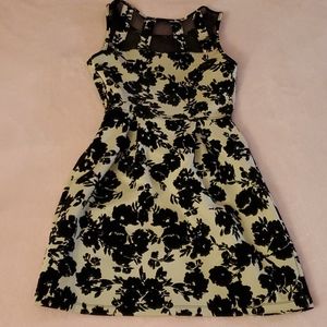 Sweet Storm Tan and Black Dress